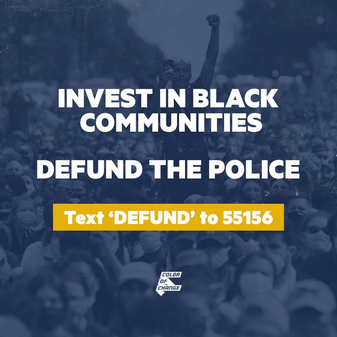 Defund the police now