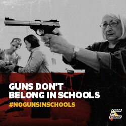 https://d11gn0ip9m46ig.cloudfront.net/images/No_Guns_in_schools_mailer.jpeg