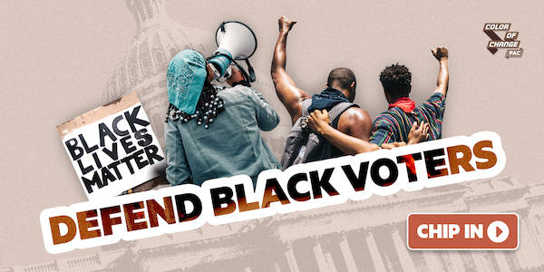 Defend Black Voters / Chip In!